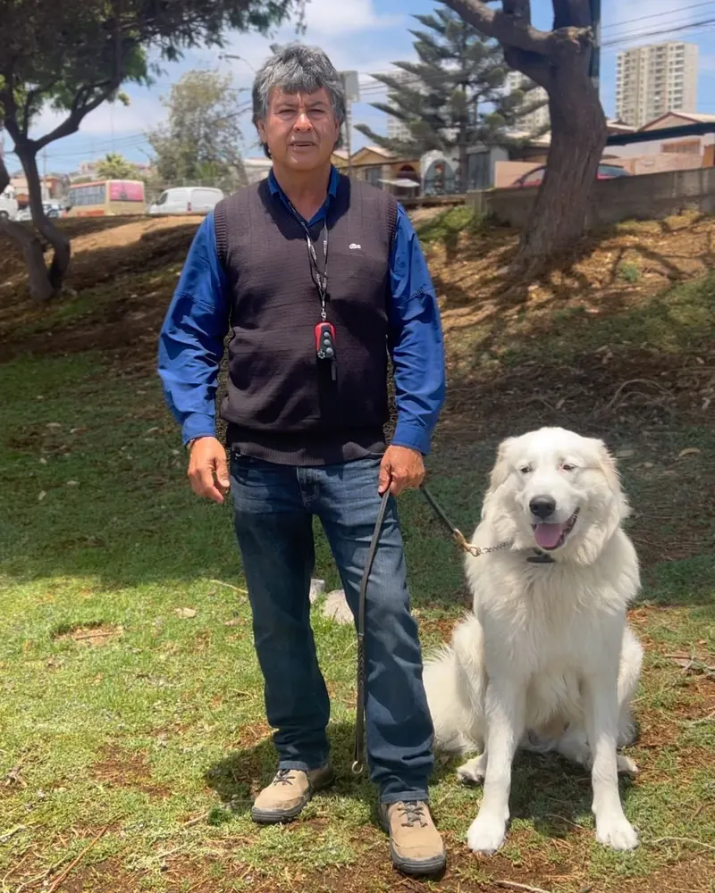 Adiestrador de Adiestramiento K9 junto a un perro blanco en un parque